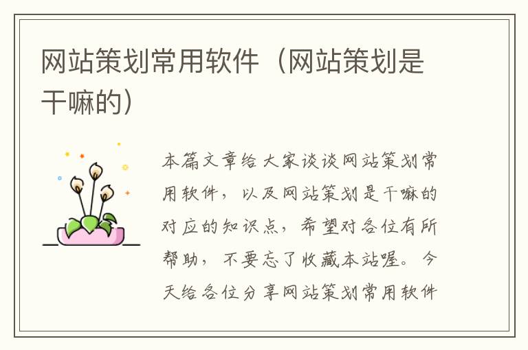 网站策划常用软件(网站策划是干嘛的)