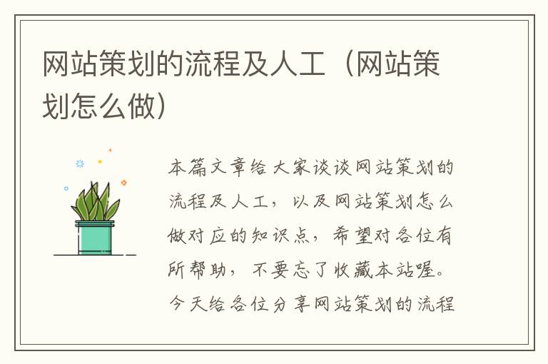 网站策划的流程及人工(网站策划怎么做)