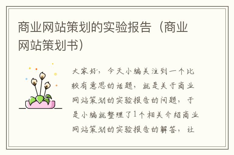 商业网站策划的实验报告(商业网站策划书)