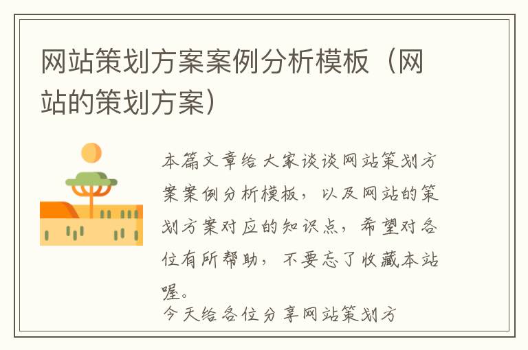 网站策划方案案例分析模板(网站的策划方案)