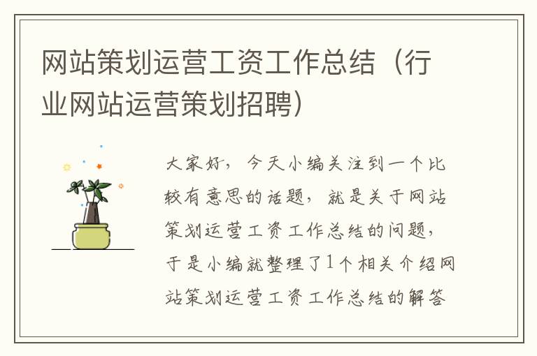 网站策划运营工资工作总结(行业网站运营策划招聘)