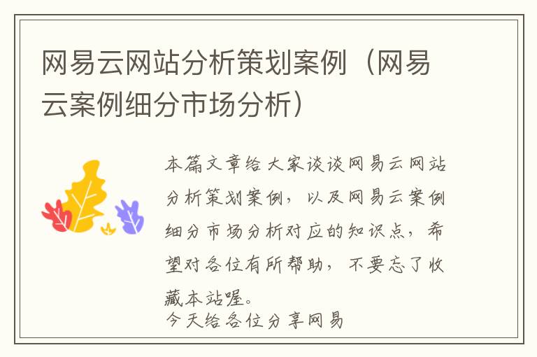 网易云网站分析策划案例(网易云案例细分市场分析)