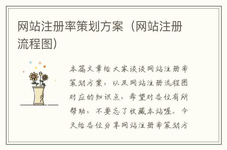 网站注册率策划方案(网站注册流程图)