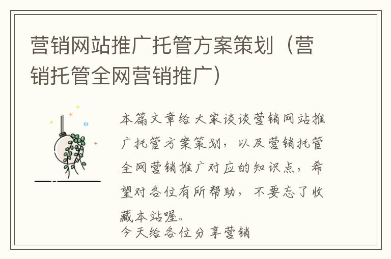 营销网站推广托管方案策划(营销托管全网营销推广)