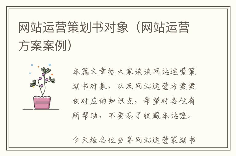 网站运营策划书对象(网站运营方案案例)