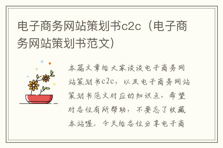 电子商务网站策划书c2c(电子商务网站策划书范文)