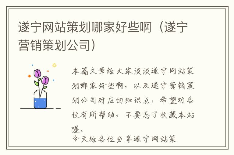 遂宁网站策划哪家好些啊(遂宁营销策划公司)