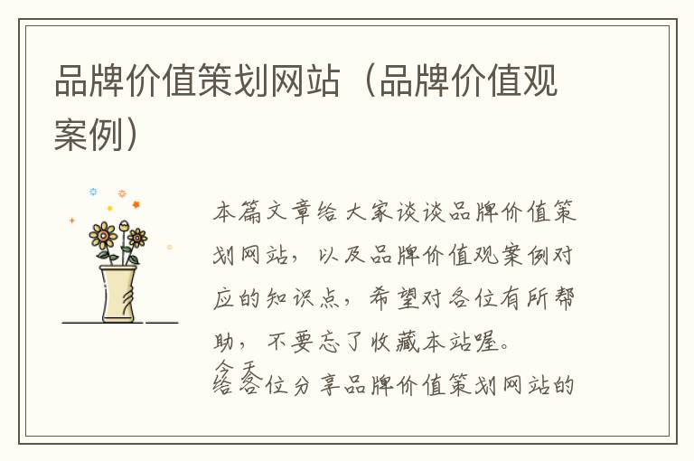 品牌价值策划网站(品牌价值观案例)