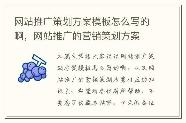网站推广策划方案模板怎么写的啊,网站推广的营销策划方案