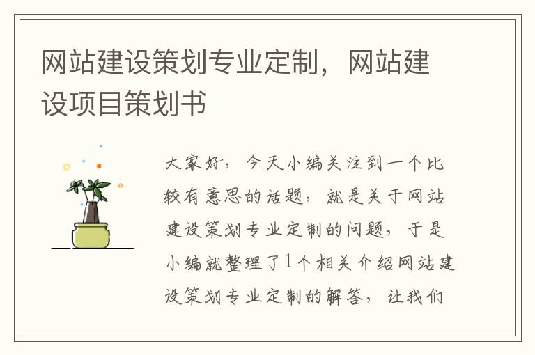 网站建设策划专业定制,网站建设项目策划书