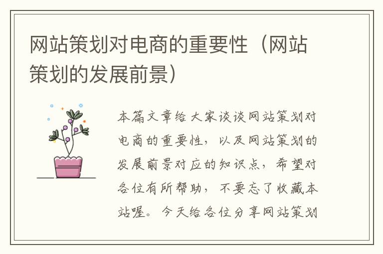 网站策划对电商的重要性(网站策划的发展前景)