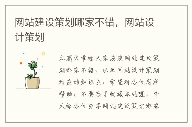 网站建设策划哪家不错,网站设计策划