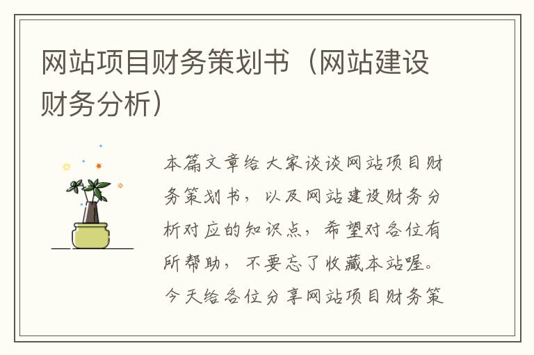 网站项目财务策划书(网站建设财务分析)