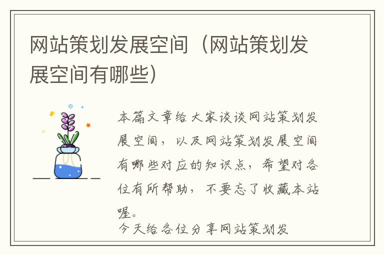网站策划发展空间(网站策划发展空间有哪些)