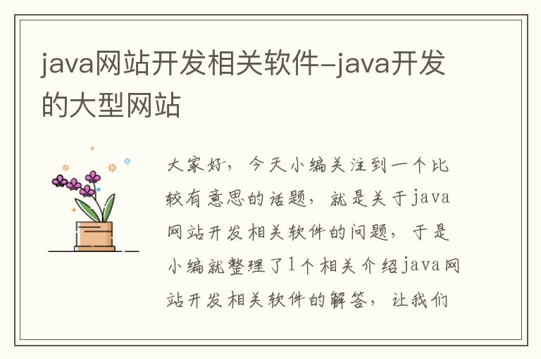 java网站开发相关软件-java开发的大型网站