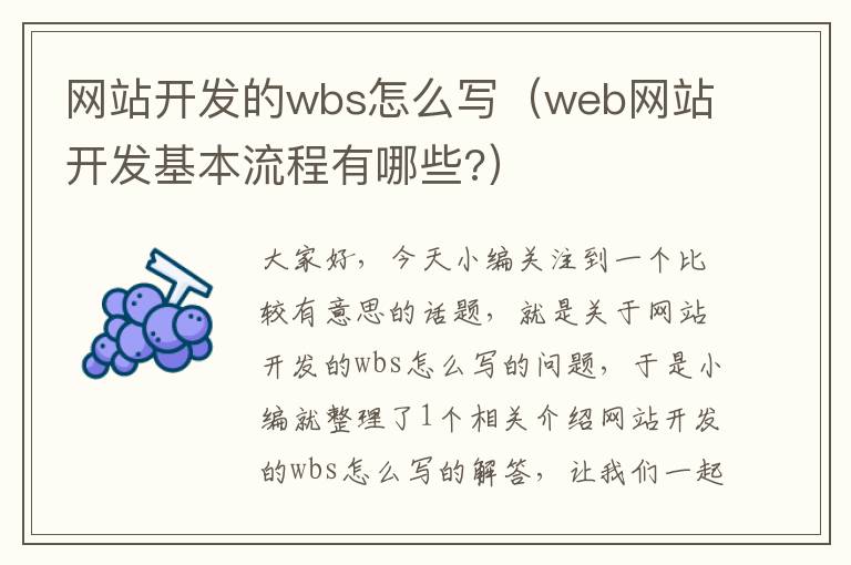 网站开发的wbs怎么写(web网站开发基本流程有哪些?)