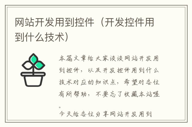 网站开发用到控件(开发控件用到什么技术)