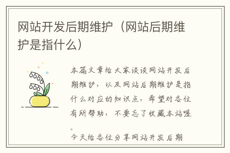 网站开发后期维护(网站后期维护是指什么)