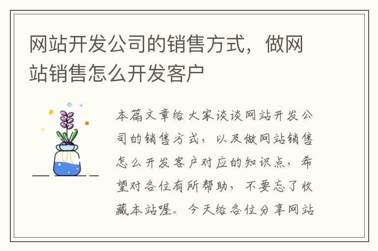 网站开发公司的销售方式,做网站销售怎么开发客户