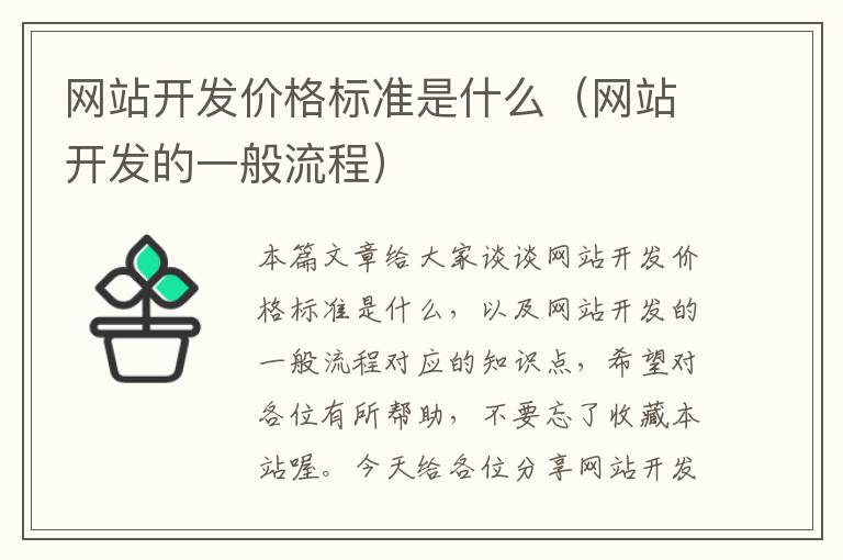 网站开发价格标准是什么(网站开发的一般流程)