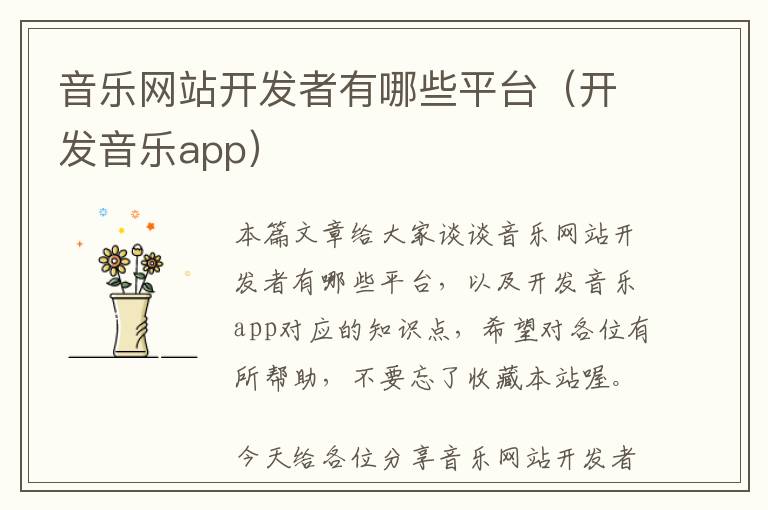 音乐网站开发者有哪些平台(开发音乐app)