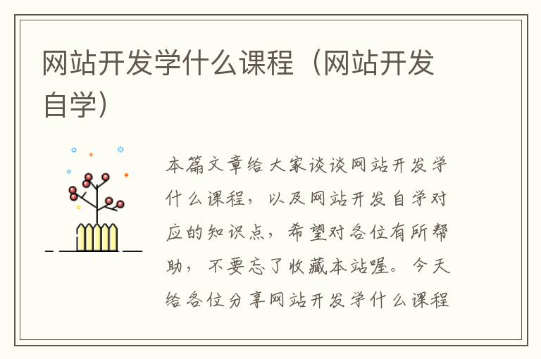 网站开发学什么课程(网站开发自学)