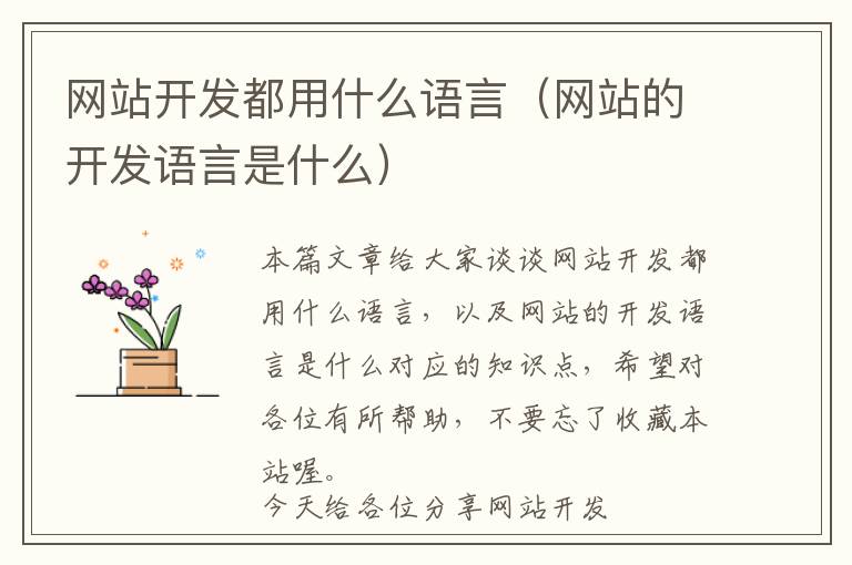 网站开发都用什么语言(网站的开发语言是什么)
