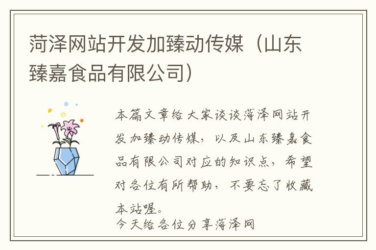 菏泽网站开发加臻动传媒(山东臻嘉食品有限公司)