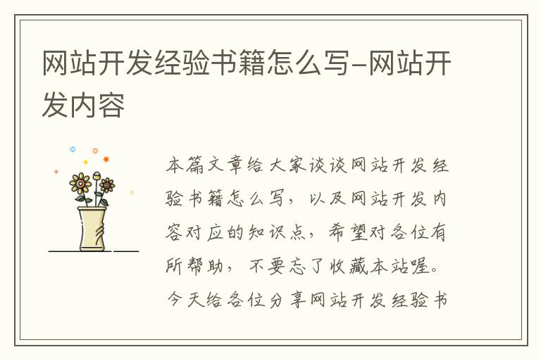 网站开发经验书籍怎么写-网站开发内容