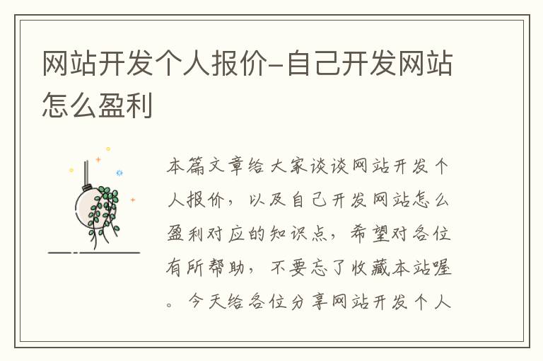 网站开发个人报价-自己开发网站怎么盈利