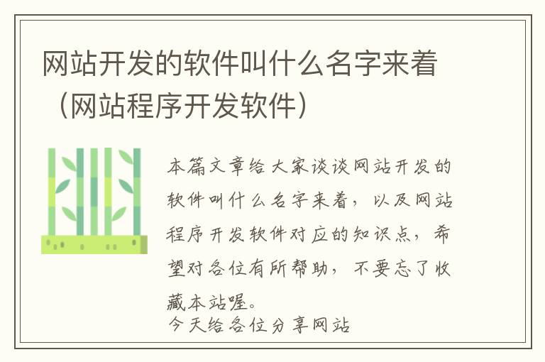 网站开发的软件叫什么名字来着(网站程序开发软件)