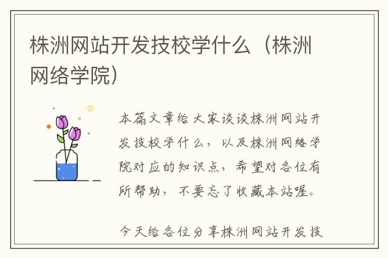 株洲网站开发技校学什么(株洲网络学院)