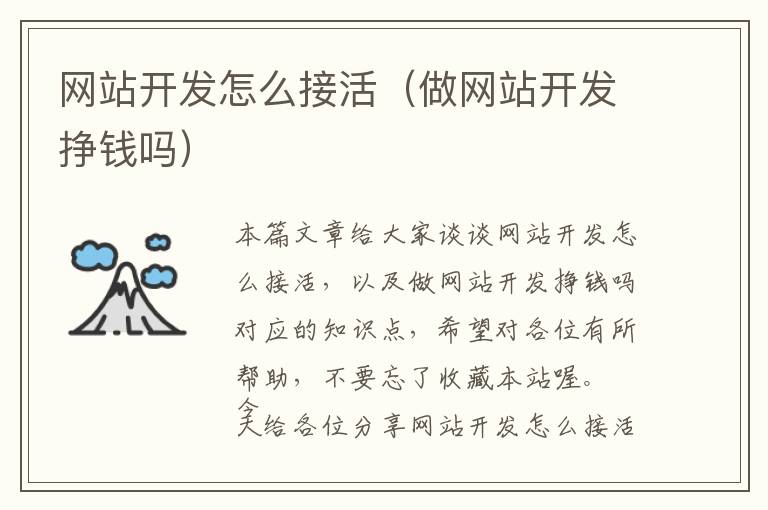 网站开发怎么接活(做网站开发挣钱吗)