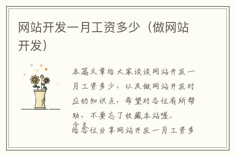 网站开发一月工资多少(做网站开发)