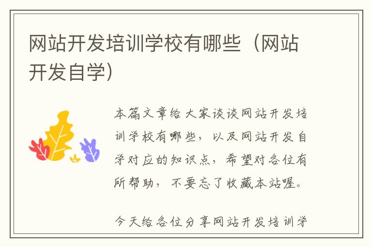 网站开发培训学校有哪些(网站开发自学)