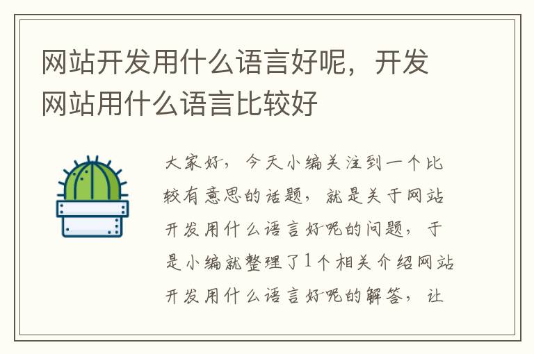网站开发用什么语言好呢,开发网站用什么语言比较好