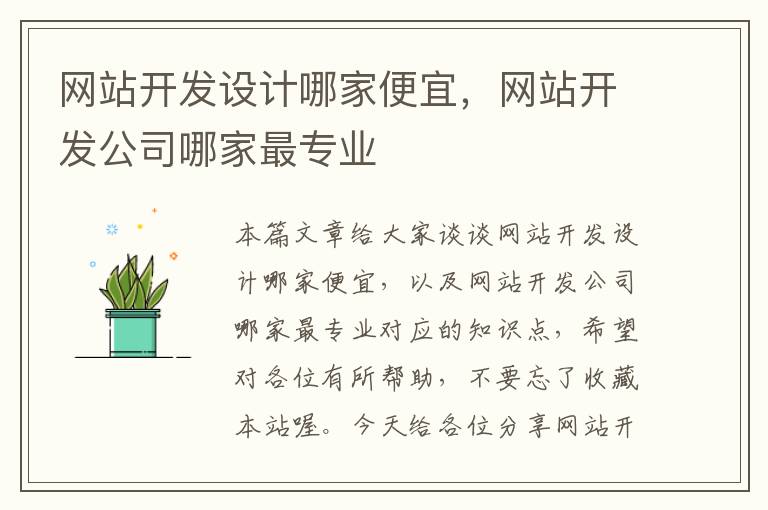 网站开发设计哪家便宜,网站开发公司哪家最专业