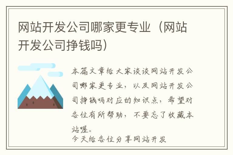 网站开发公司哪家更专业(网站开发公司挣钱吗)