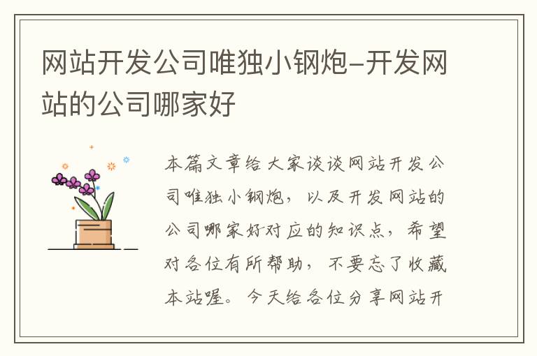 网站开发公司唯独小钢炮-开发网站的公司哪家好
