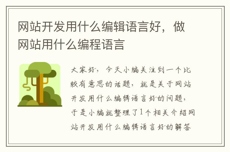 网站开发用什么编辑语言好,做网站用什么编程语言