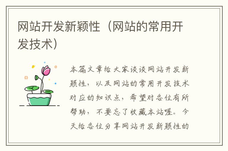 网站开发新颖性(网站的常用开发技术)