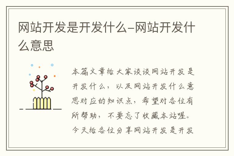 网站开发是开发什么-网站开发什么意思