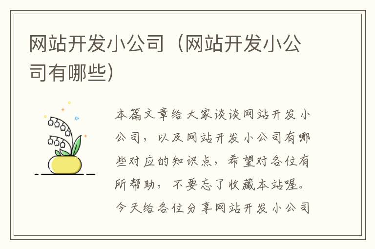 网站开发小公司(网站开发小公司有哪些)