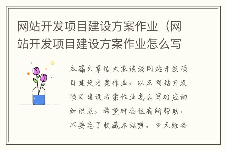 网站开发项目建设方案作业(网站开发项目建设方案作业怎么写)