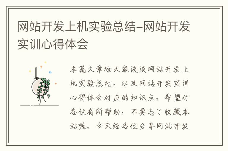 网站开发上机实验总结-网站开发实训心得体会