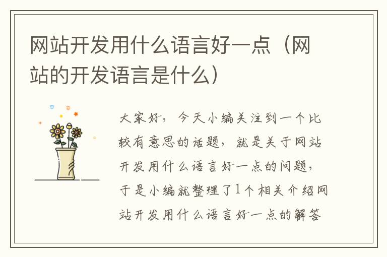 网站开发用什么语言好一点(网站的开发语言是什么)