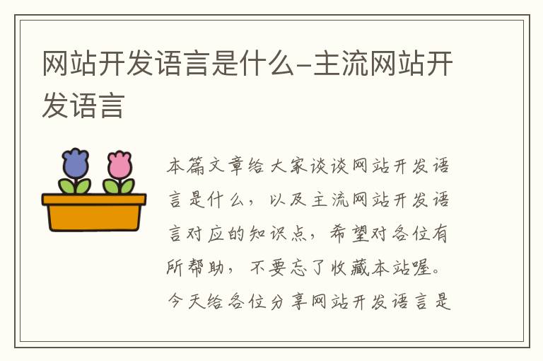 网站开发语言是什么-主流网站开发语言