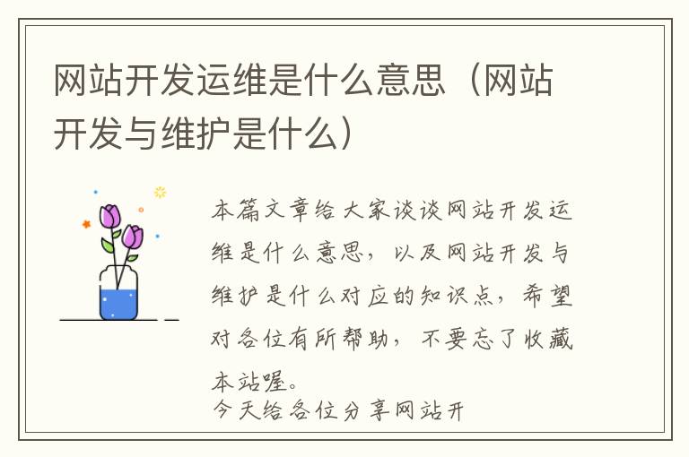 网站开发运维是什么意思（网站开发与维护是什么）