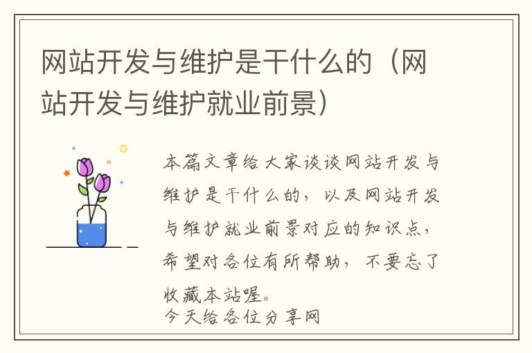 网站开发与维护是干什么的(网站开发与维护就业前景)