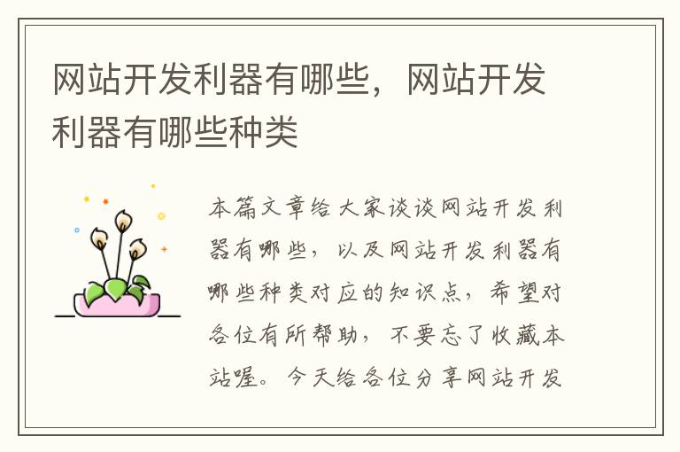 网站开发利器有哪些,网站开发利器有哪些种类
